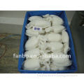 frozen cleaned cuttlefish whole round